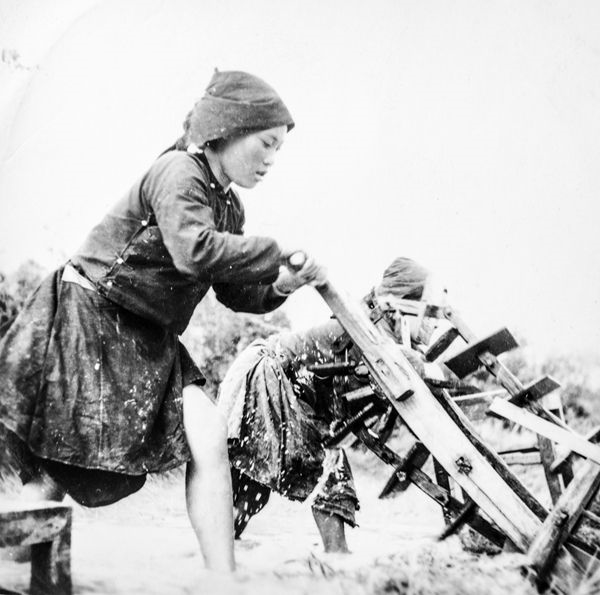 zp-9.jpg