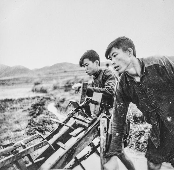 zp-6.jpg