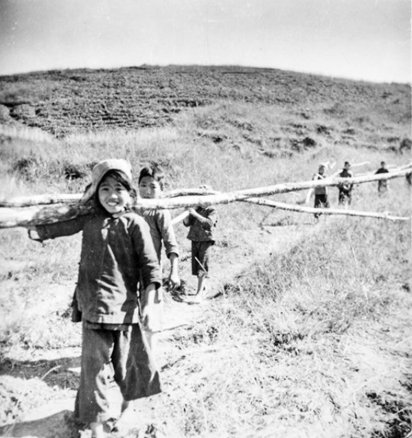 zp-1.jpg